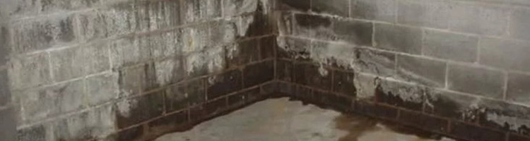 umidità in casa